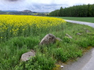 Fernblick auf Stolpen Fernblick auf Stolpen